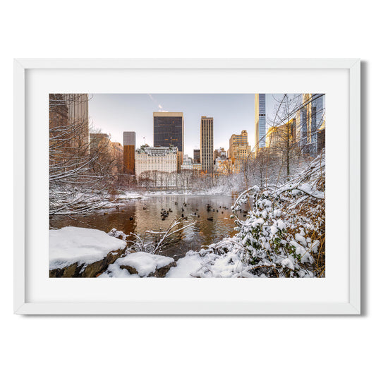 The Pond at Central Park in Winter New York City 2025