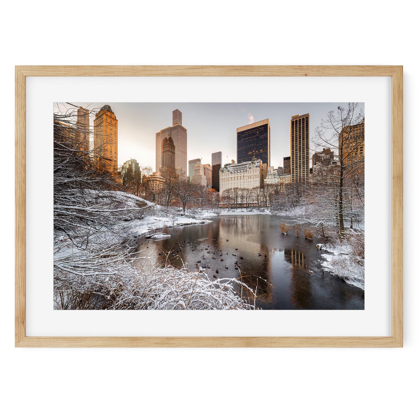 Central Park in Winter New York City 2025
