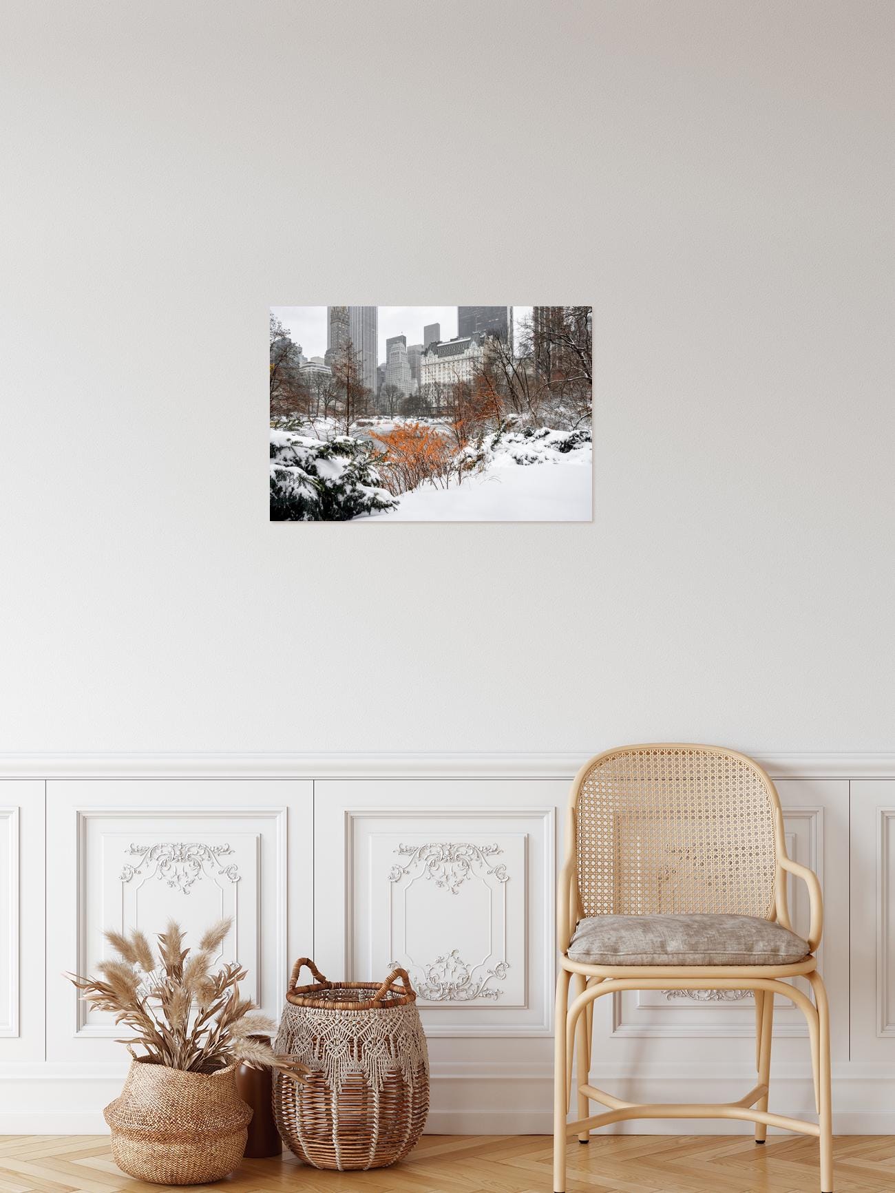 Winter in Central Park New York City 2020