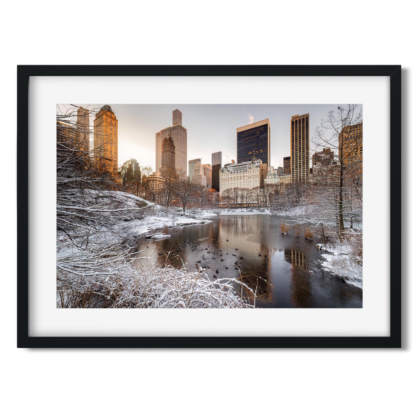 Central Park in Winter New York City 2025
