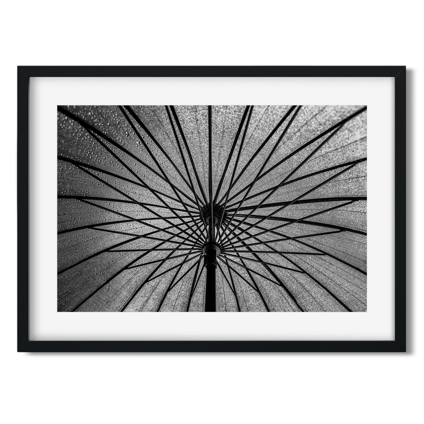 Umbrella Brooklyn New York 2016