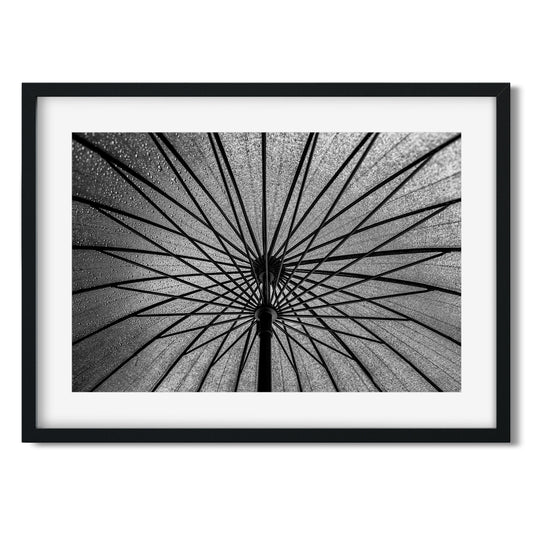 Umbrella Brooklyn New York 2016