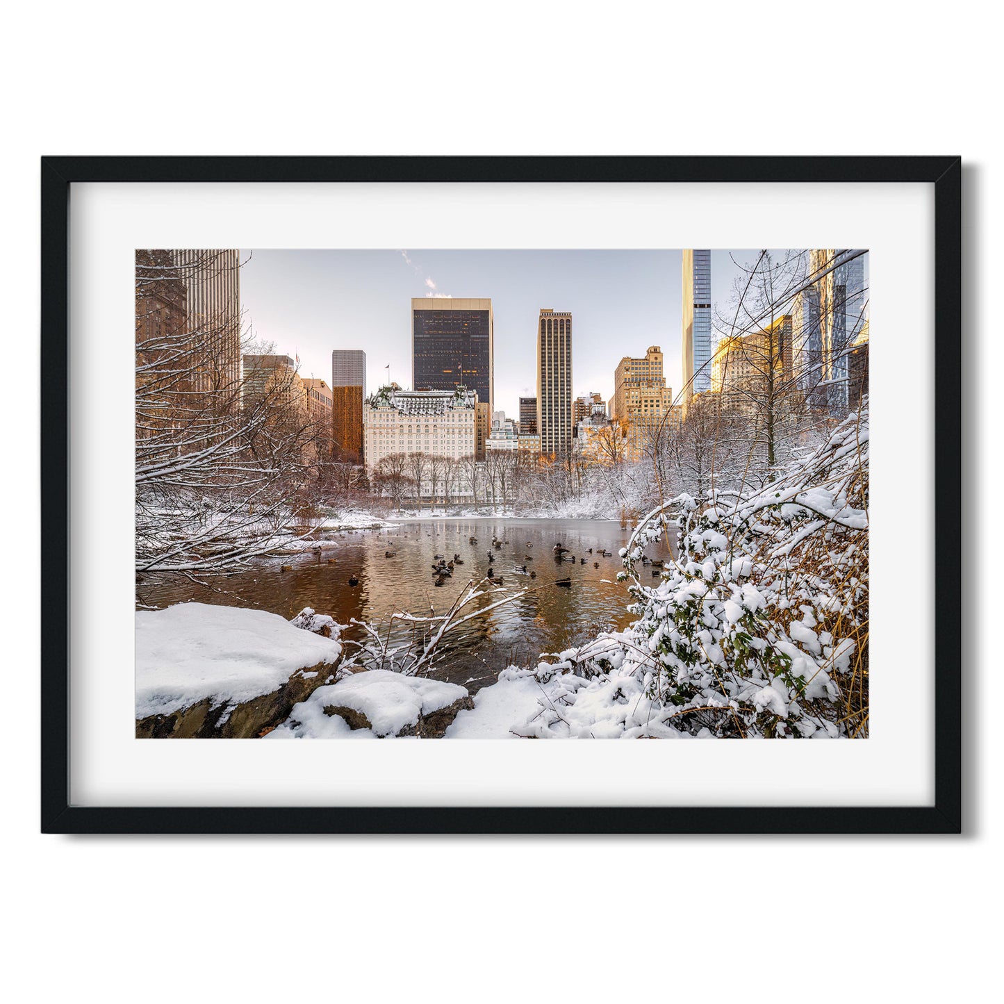 The Pond at Central Park in Winter New York City 2025