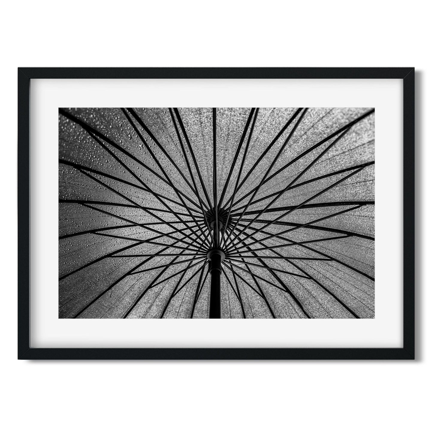 Black and white fine art print of Umbrella Brooklyn New York