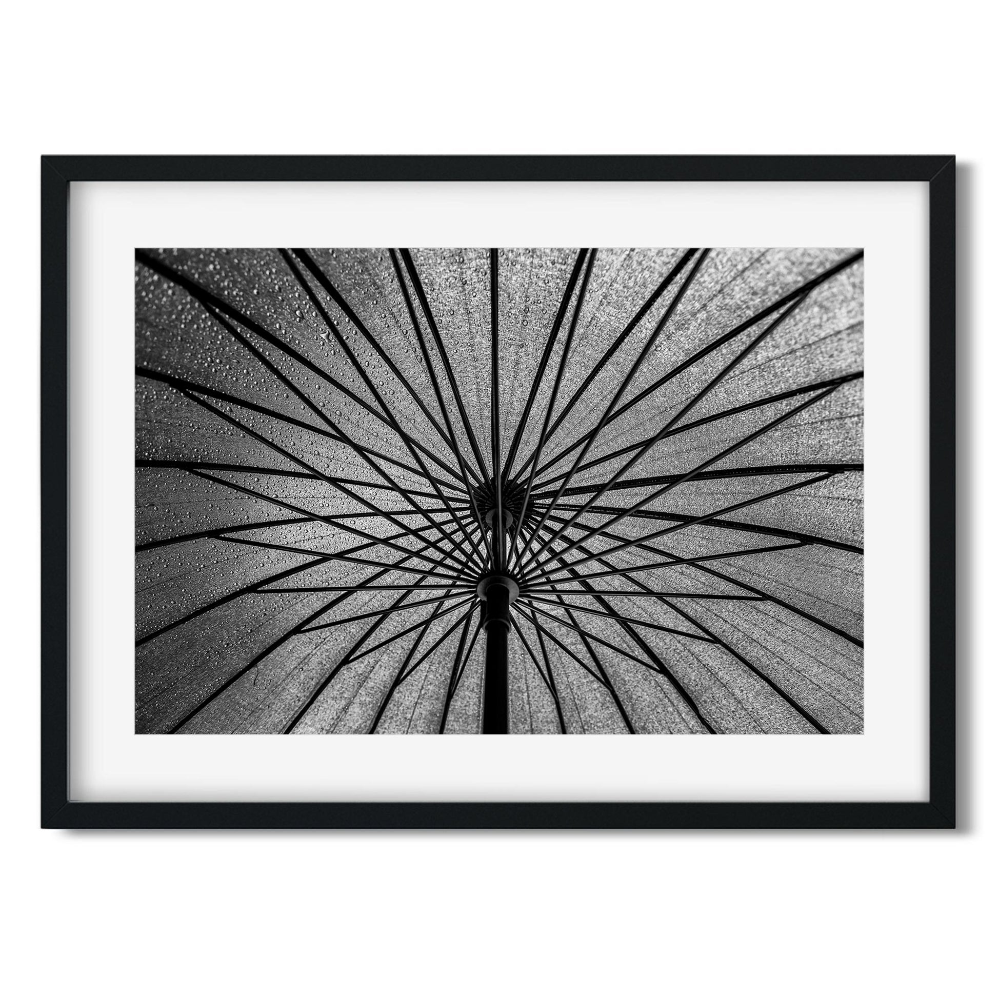 Black and white fine art print of Umbrella Brooklyn New York