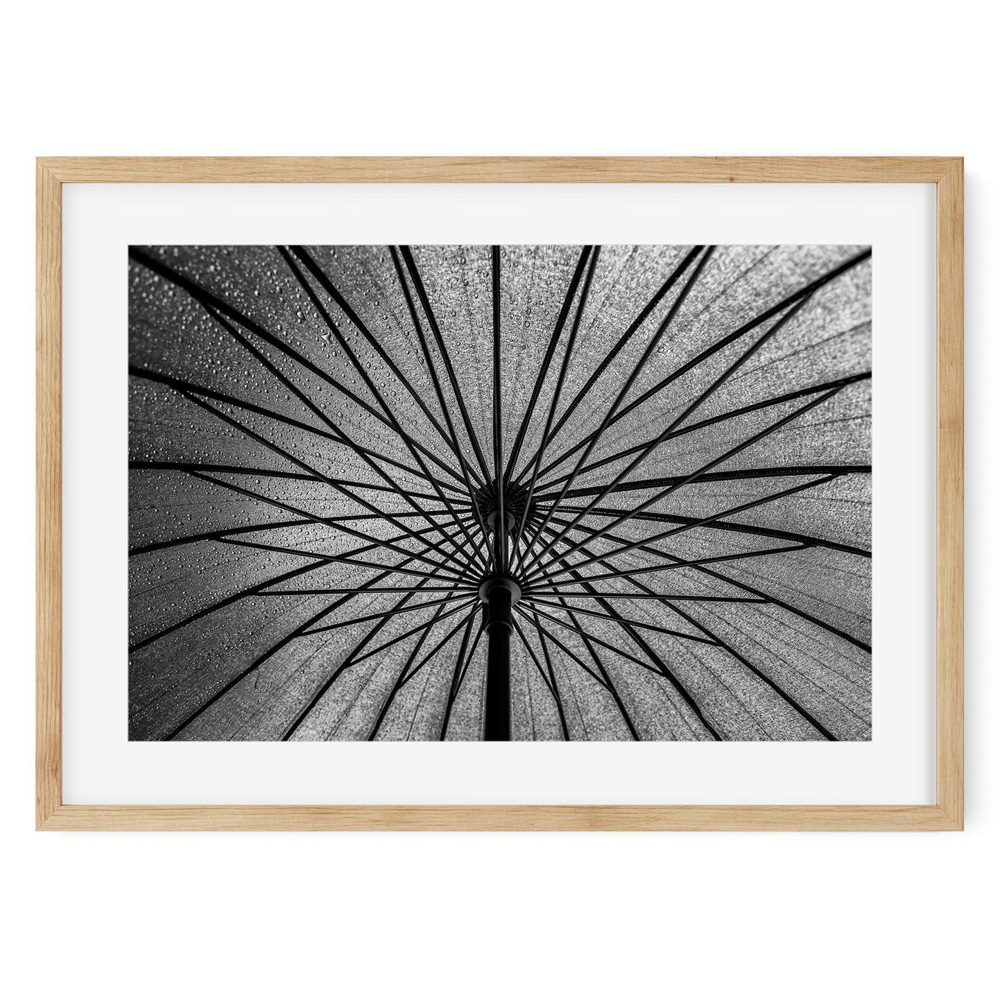 Black and white fine art print of Umbrella Brooklyn New York