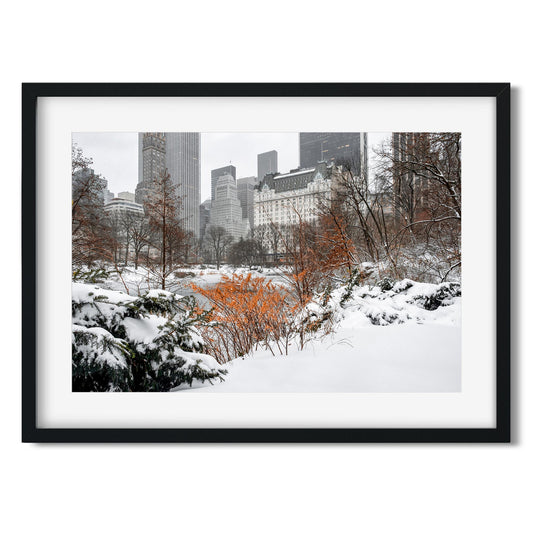 Fine art print of Winter Wonderland in Central Park New York City