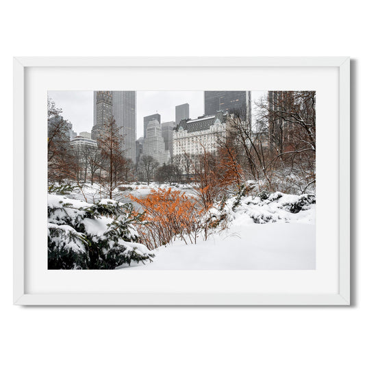 Fine art print of Winter Wonderland in Central Park New York City