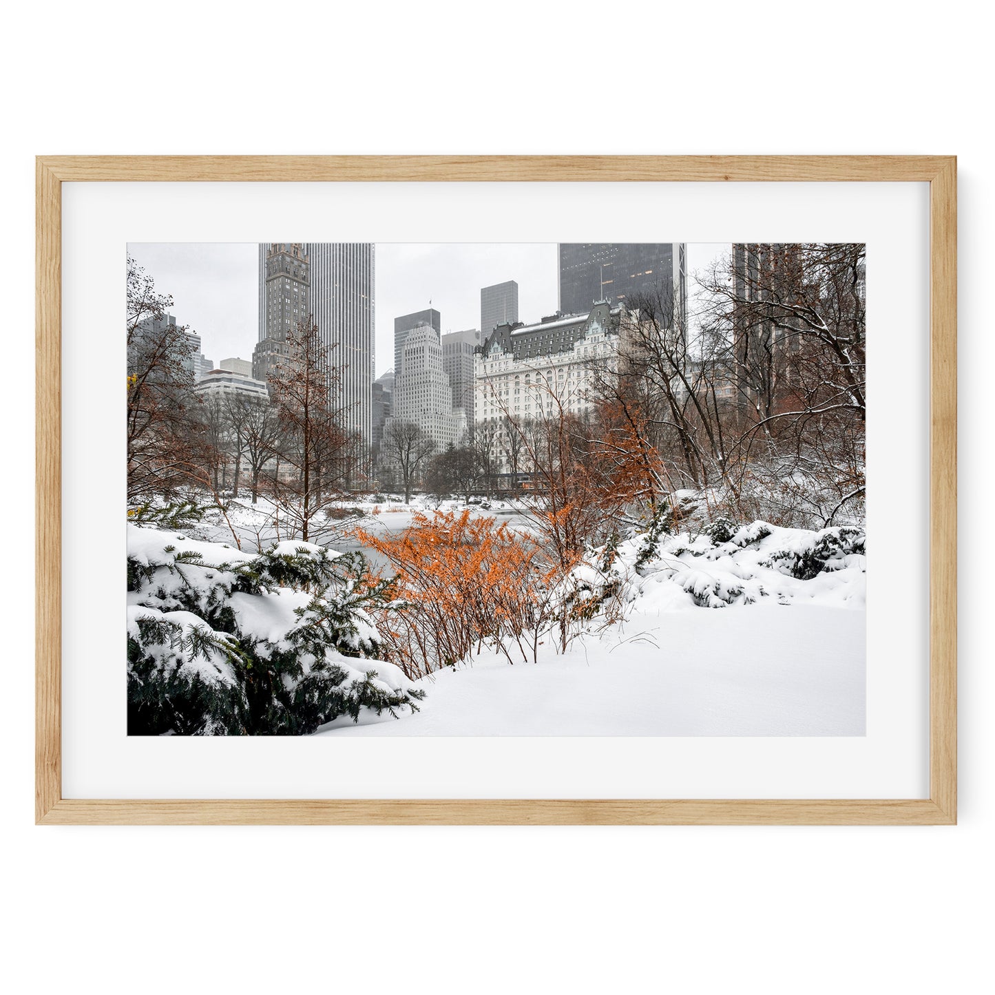 Winter Magic in Central Park New York City 2020