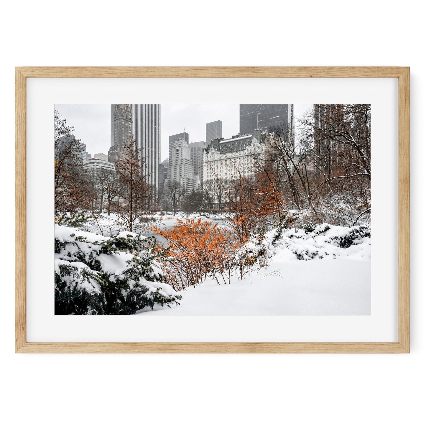 Fine art print of Winter Wonderland in Central Park New York City