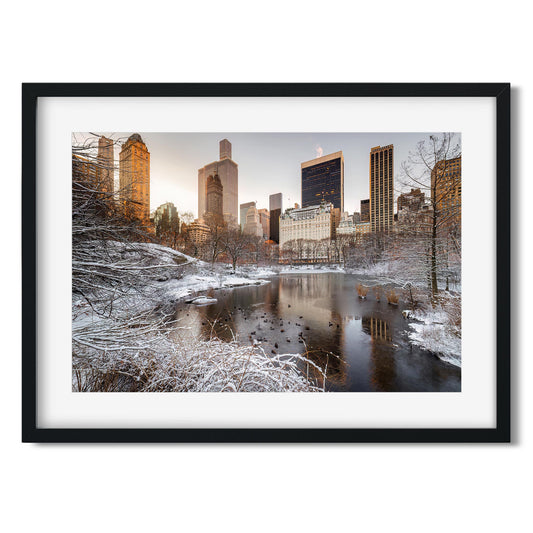 Fine art print of Central Park at Winter Sunrise New York City