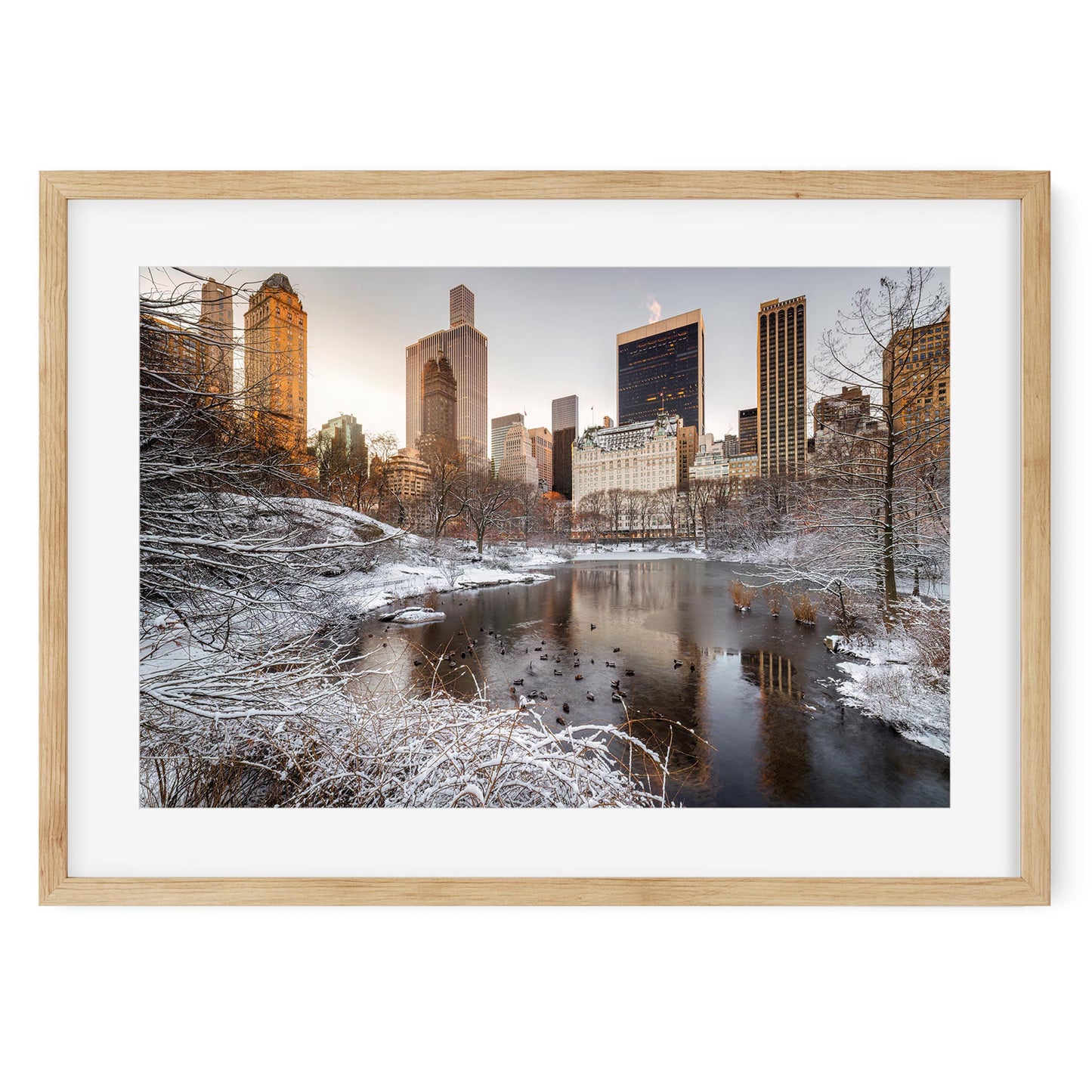Fine art print of Central Park at Winter Sunrise New York City
