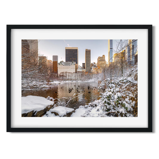 Fine art print of The Pond at Central Park in Winter New York City