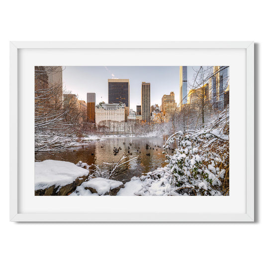 Fine art print of The Pond at Central Park in Winter New York City