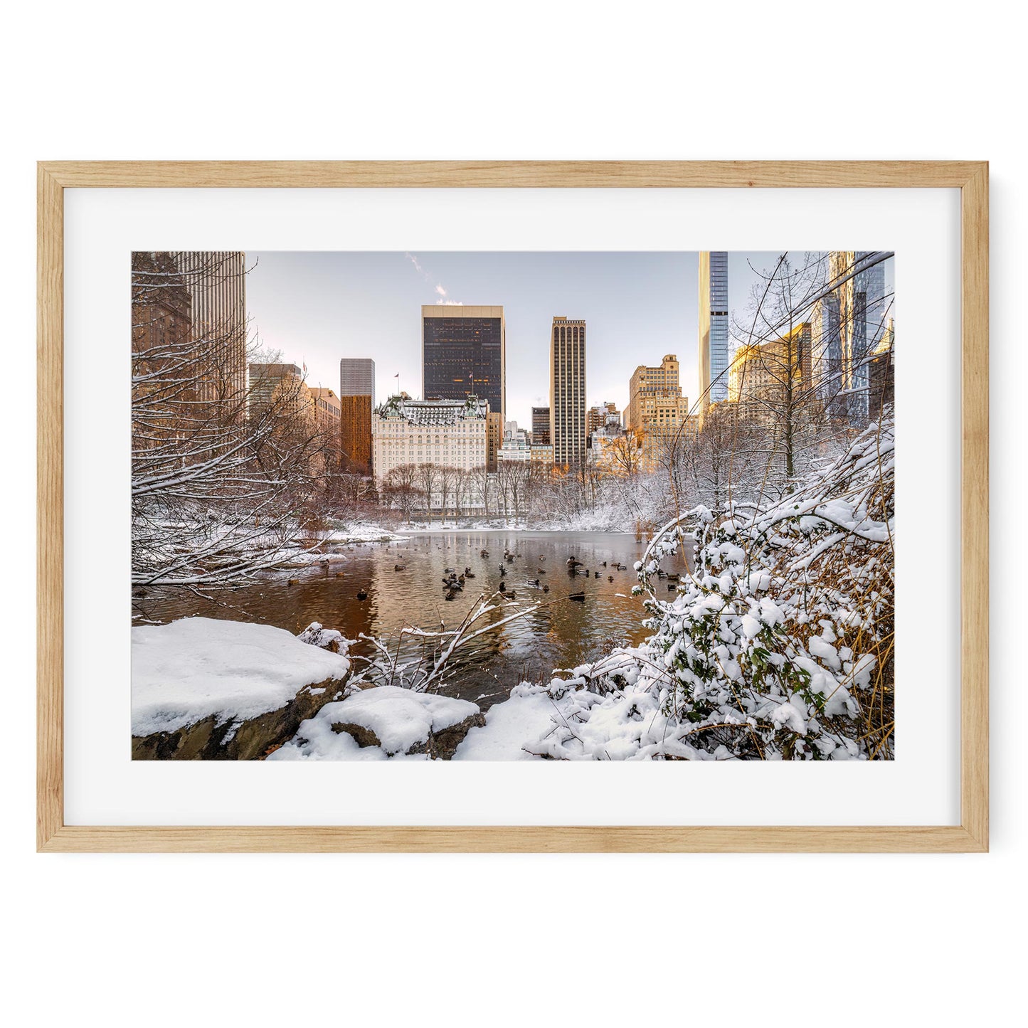 Fine art print of The Pond at Central Park in Winter New York City